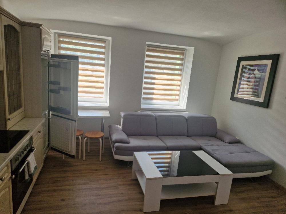 Penzion Dubi - Ruska 393 - 110 Extérieur photo